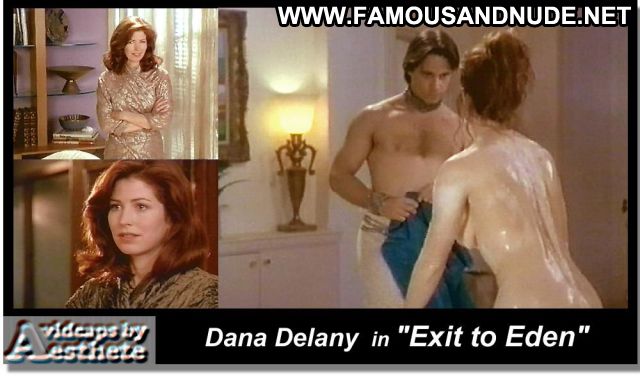 Dana Delany Posing Hot Celebrity Beautiful Horny Famous Cute