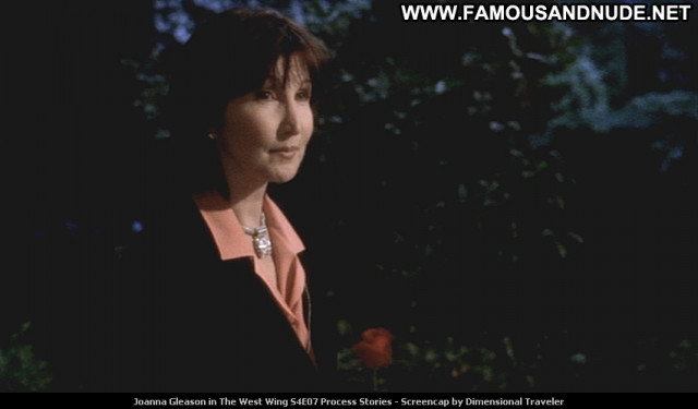 Joanna Gleason The West Wing Posing Hot Babe Beautiful Celebrity Tv